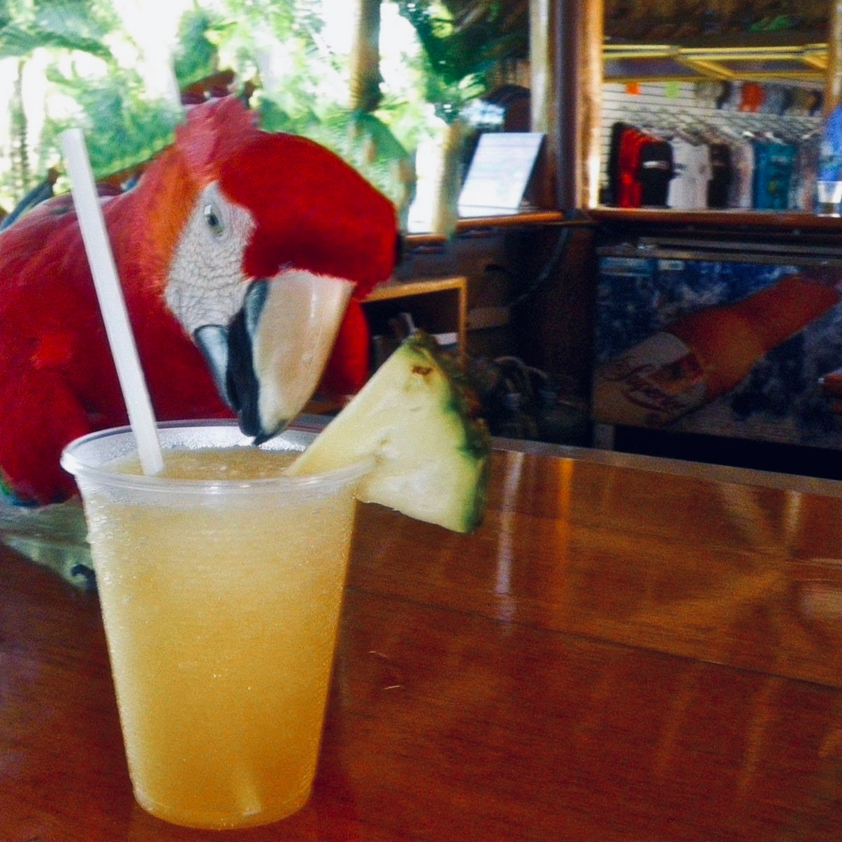 Bahama Mama