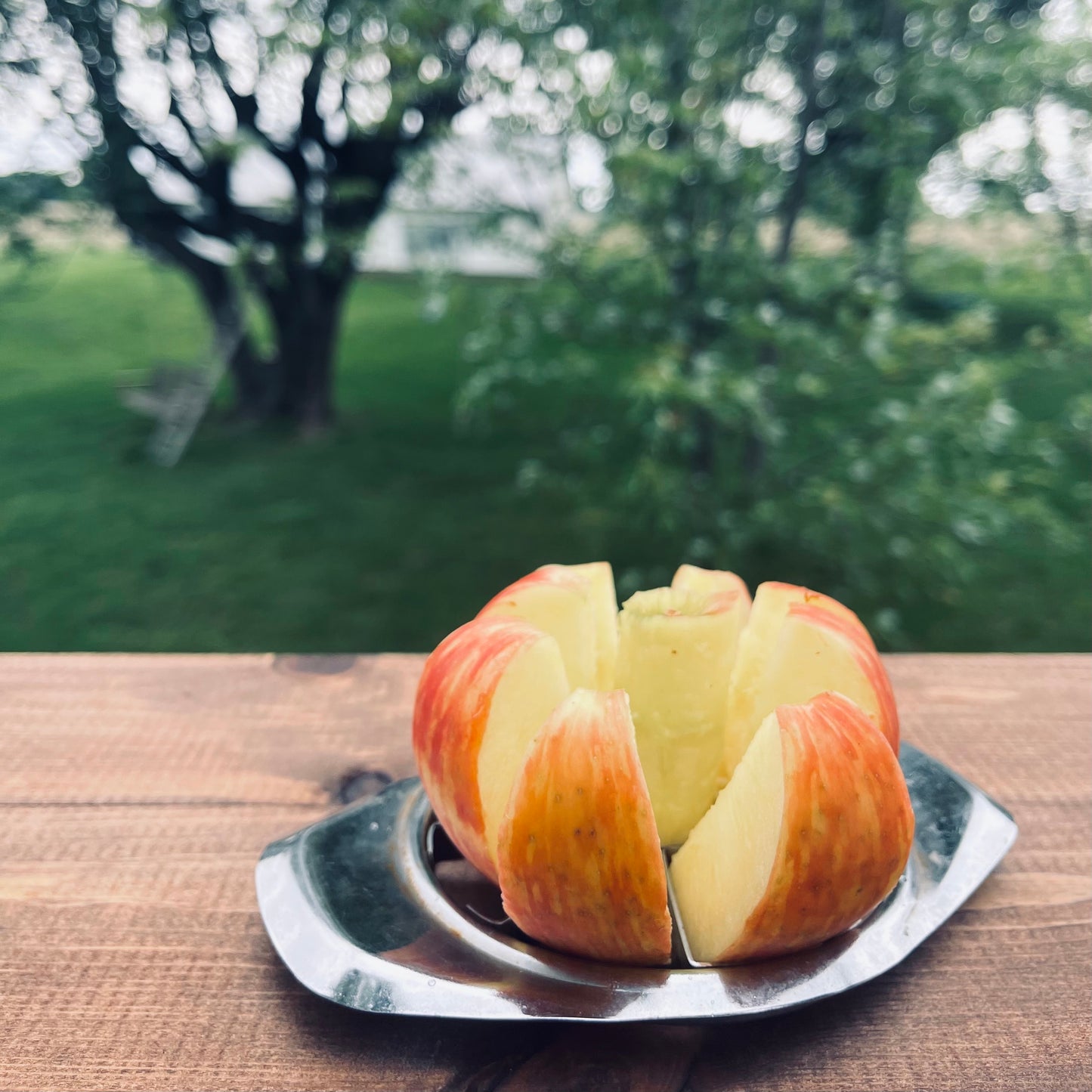 Country Apple