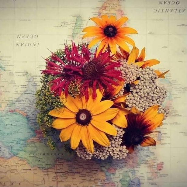 Wildflower