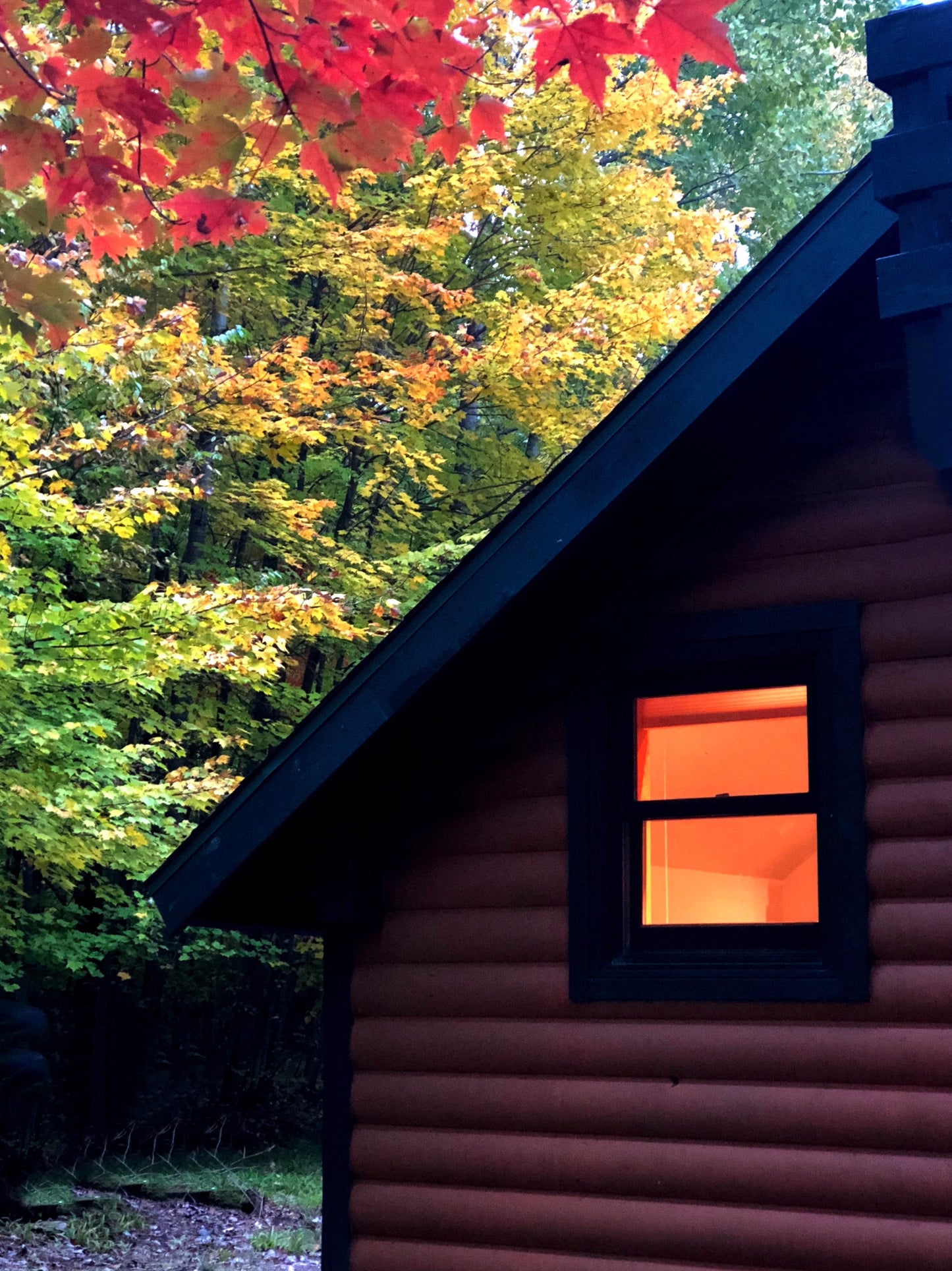 Cabin in the woods