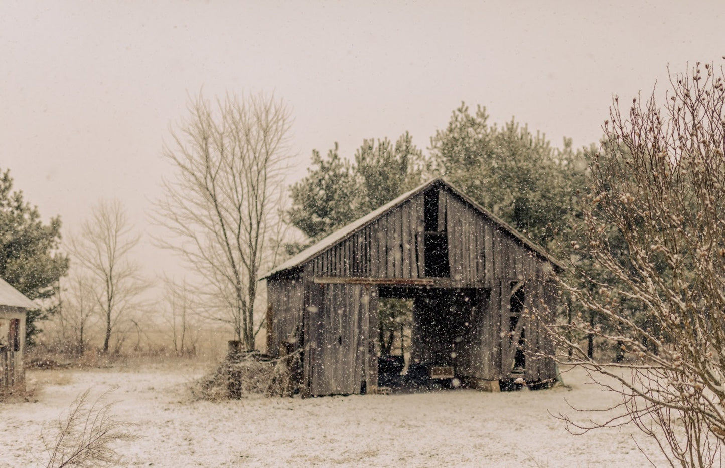 Barn Wood