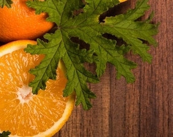 Citronella & Orange