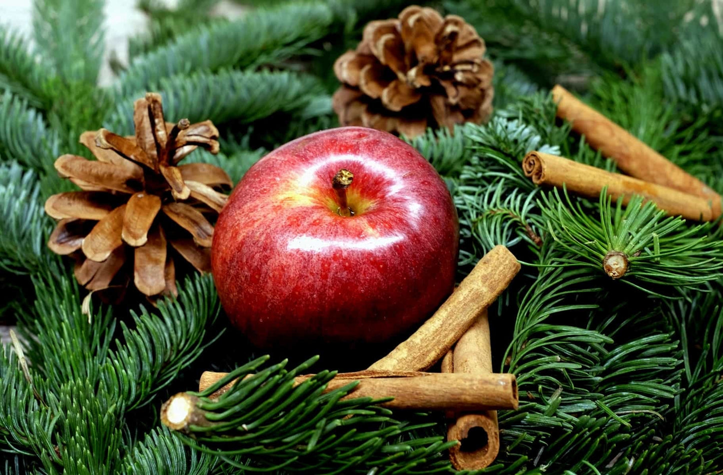 Pinebough & Apple (Outlander)