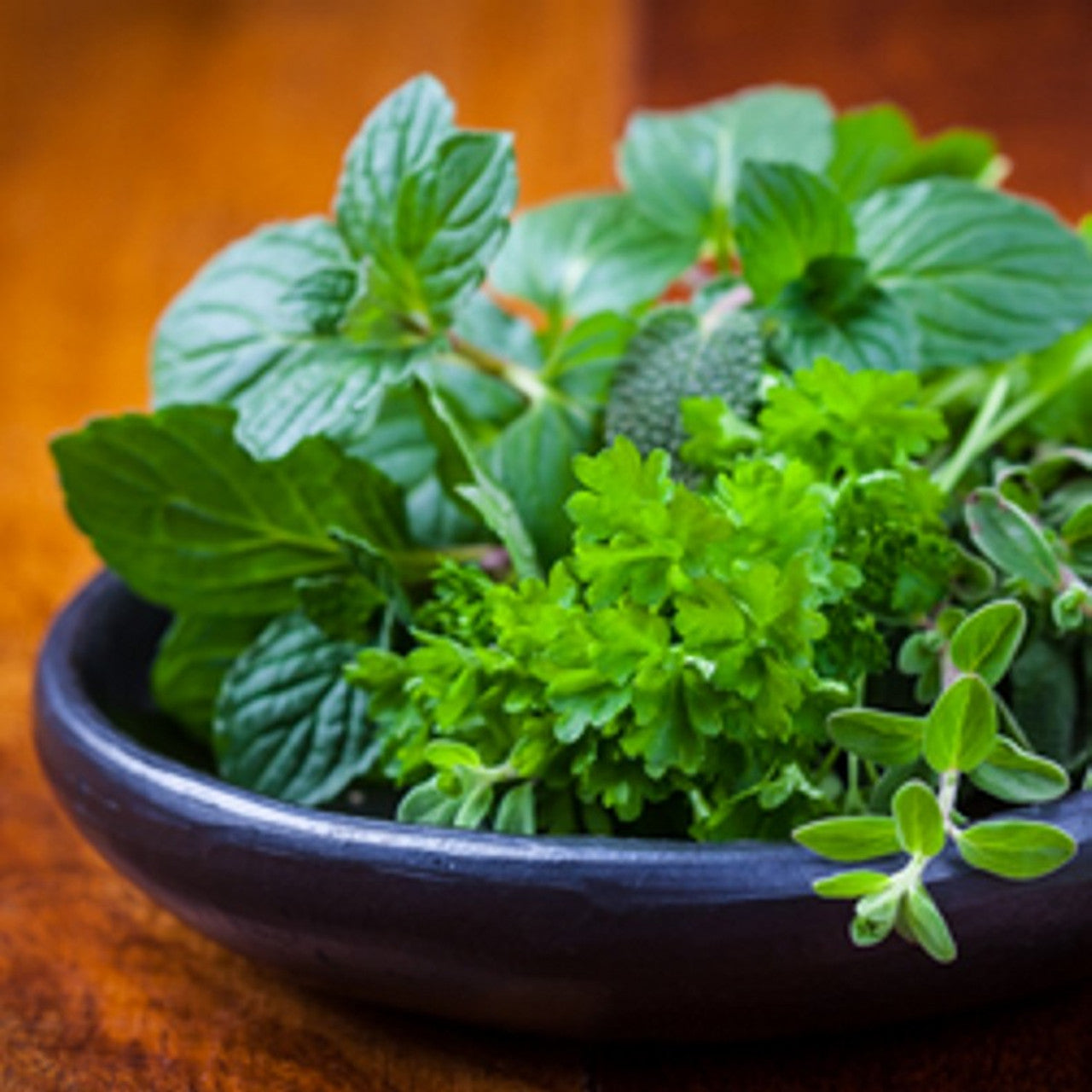 Basil Sage Mint