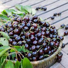 Black Cherry