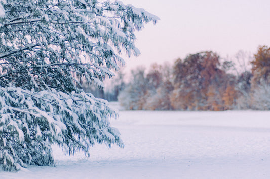 Northwoods Christmas