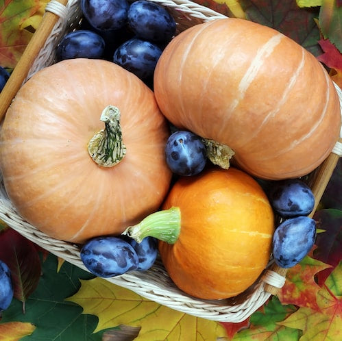 Blueberry Pumpkin